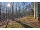 Wooded backyard behind house, mostly bare trees in winter at 159 Geneva Rd, Canton, GA 30114