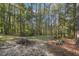 Wooded backyard with a clearing and natural landscape at 45 Park Place Dr, Covington, GA 30016