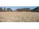 Open field with mature trees on the perimeter at 1875 Abbie Ln, Jonesboro, GA 30236