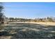 Flat, open land with tree line at the edge of property at 1875 Abbie Ln, Jonesboro, GA 30236