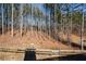 Fenced backyard with wooded area at 202 Greentree Trl, Temple, GA 30179