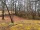 Wooded lot, gently sloping with moss and leaf litter at 4890 Prince Se Rd, Smyrna, GA 30082
