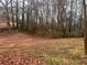 Wooded lot with sloping terrain and scattered leaves at 4890 Prince Se Rd, Smyrna, GA 30082