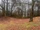Wooded lot with a gentle slope and leaf-covered ground at 4890 Prince Se Rd, Smyrna, GA 30082