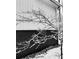 Black and white image of house exterior with icy tree branches at 1544 Bullard Rd, Powder Springs, GA 30127