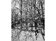 Black and white image of tree branches covered in ice at 1544 Bullard Rd, Powder Springs, GA 30127