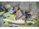 This home has a long driveway and an outdoor space with a patio, deck, waterfall, and lawn at 322 Berkshire Trce, Canton, GA 30115