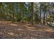 Wooded area with pine straw ground cover at 1790 Garraux Nw Rd, Atlanta, GA 30327