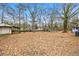 Expansive backyard with trees offers lots of space for activities and relaxation at 132 Arnold Pl, Jonesboro, GA 30236