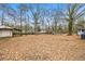 Large backyard with plenty of space for outdoor activities at 132 Arnold Pl, Jonesboro, GA 30236