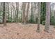 Wooded backyard with large trees at 2848 Baker Ridge Nw Dr, Atlanta, GA 30318