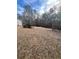 Open backyard with a tree line, offering privacy and ample space at 6540 Old White Mill Rd, Fairburn, GA 30213