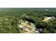 An aerial view of a residential neighborhood nestled amongst lush greenery at 307 Cinnamon Bark Pass, Locust Grove, GA 30248