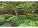 Serene wooded area with a creek running through it at 106 Laurel Brook Ln, Canton, GA 30115