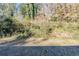 Backyard with dense shrubbery and trees at 3197 Cloverhurst Dr, Atlanta, GA 30344