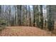 Wooded backyard with a sloped terrain at 3870 N Shelby N Ln, Douglasville, GA 30135