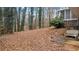 Spacious backyard with a wooden bench and trees at 3870 N Shelby N Ln, Douglasville, GA 30135