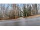 Driveway leading to the house through the woods at 3870 N Shelby N Ln, Douglasville, GA 30135