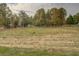 Large backyard with a garden and wooded area at 5601 Atlanta Hwy, Rutledge, GA 30663