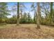 Large backyard with mature trees offering privacy and shade at 1682 Valencia Rd, Decatur, GA 30032