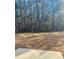 Large backyard perfect for pets with wooded views at 1963 White Top Rd., Lawrenceville, GA 30045