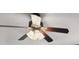 Close-up of a ceiling fan with dark brown blades and white shades at 811 Somersby Dr, Dallas, GA 30157