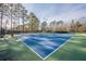 Community tennis courts with surrounding trees and green space at 801 Treadstone Overlook, Suwanee, GA 30024