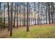 Wooded lakeside yard with grassy areas at 135 Marina Ct, Canton, GA 30114