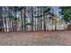 Wooded backyard with natural privacy at 948 Maple Leaf Dr, Mcdonough, GA 30253