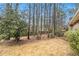 Expansive backyard showcasing a lush lawn, tall trees, offering a serene outdoor space at 2791 Ponderosa Cir, Decatur, GA 30033