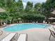 Relaxing community pool with lounge chairs and umbrellas at 746 Trevett Way, Marietta, GA 30062