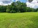 Large grassy field surrounded by lush trees at 746 Trevett Way, Marietta, GA 30062