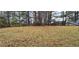 Large backyard with mature trees and open space at 3551 Brycewood Dr, Decatur, GA 30034