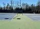 Two tennis courts in a community setting with green surface at 416 Aristides Way, Canton, GA 30115