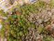 Aerial lot view showing surrounding trees at 2828 The Meadows Way, Atlanta, GA 30349