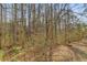 Private wooded area behind property line at 2828 The Meadows Way, Atlanta, GA 30349