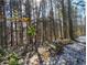 Wooded backyard with a light dusting of snow on the ground at 804 Bankshire Dr, Suwanee, GA 30024
