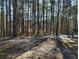 View of wooded area behind the house with a dusting of snow at 804 Bankshire Dr, Suwanee, GA 30024