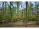 Wooded backyard with a private, fenced area at 124 Brook Hollow Lake Trl, Cumming, GA 30028