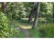 Peaceful trail alongside the pond, surrounded by trees at 225 Blueberry Rdg, Milton, GA 30075