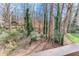 View from deck; wooded backyard with a wooden fence at 2843 Merritt Dr, Buford, GA 30518