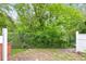 Small backyard with a chain link fence and overgrown trees at 2852 Vining Ridge Ter, Decatur, GA 30034