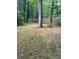 Partially grassy backyard with a large tree at 1221 Martin Nash Sw Rd, Lilburn, GA 30047