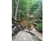 Serene creek with rocky areas and lush greenery at 1221 Martin Nash Sw Rd, Lilburn, GA 30047