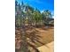 Large backyard with mature pine trees at 3026 Bridge Walk Dr, Lawrenceville, GA 30044