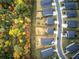 Aerial view of houses nestled in a wooded area with fall foliage at 419 Murphy Ave, Canton, GA 30114