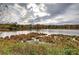 Serene community lake with autumnal foliage at 419 Murphy Ave, Canton, GA 30114