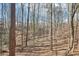 Private wooded area behind property at 680 Branch Valley Ct, Roswell, GA 30076