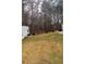 Large backyard with shed and wooded area at 1160 Burning Bush Dr, Loganville, GA 30052