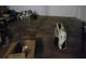 View of spacious basement with laminate flooring, ideal for storage or transformation into a custom entertainment area at 3321 Border Dr, Stone Mountain, GA 30087